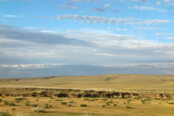 Erdenezagaan Sum, Sukhbaatar Aimag, Mongolei, Juli 2018