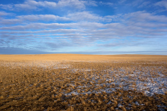 Erdenetsagaan Sum, Sukhbaatar Aimag, Mongolia, february 2020