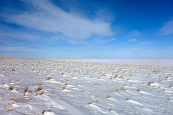 Erdenetsagaan Sum, Sukhbaatar Aimag, Mongolia, Januar 2018