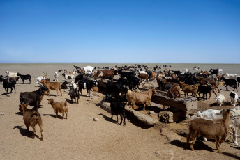 Bulgan Sum, Umnugovi Aimag, Mongolei, Juli 2018