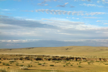 Erdenetsagaan Sum, Sukhbaatar Aimag, Mongolia, july 2018